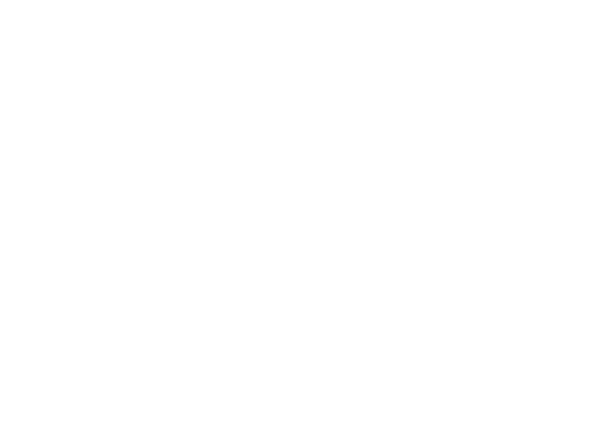 Surrey County Council